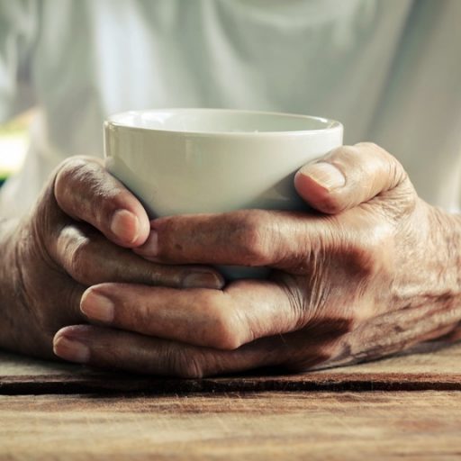 Featured image for Emotional support is as important as food and shelter