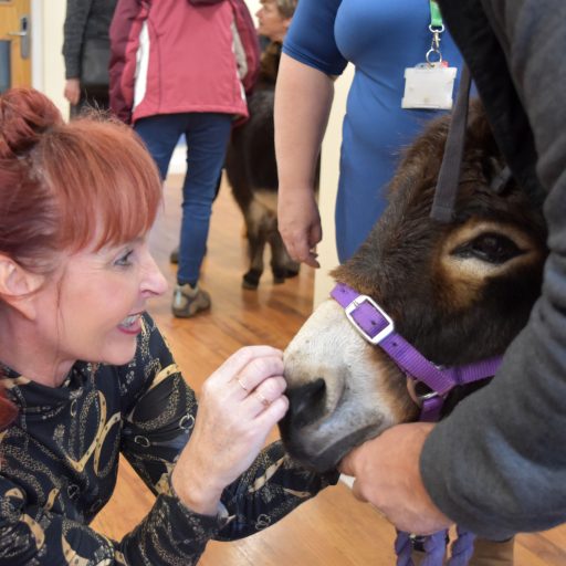 Featured image for Stress-busting visitors raise a smile at St Martins