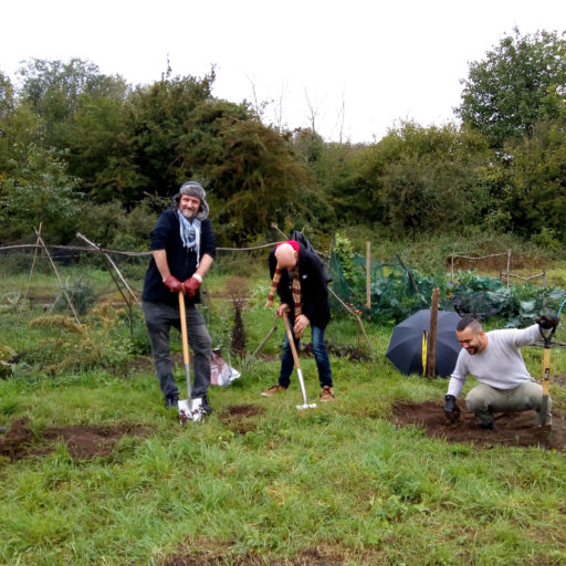 Featured image for Gardening for health and wellbeing
