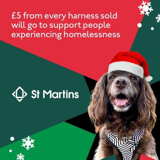 Featured image for Topdog harnesses the power of giving for St Martins