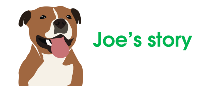 Featured image for Joe's Story
